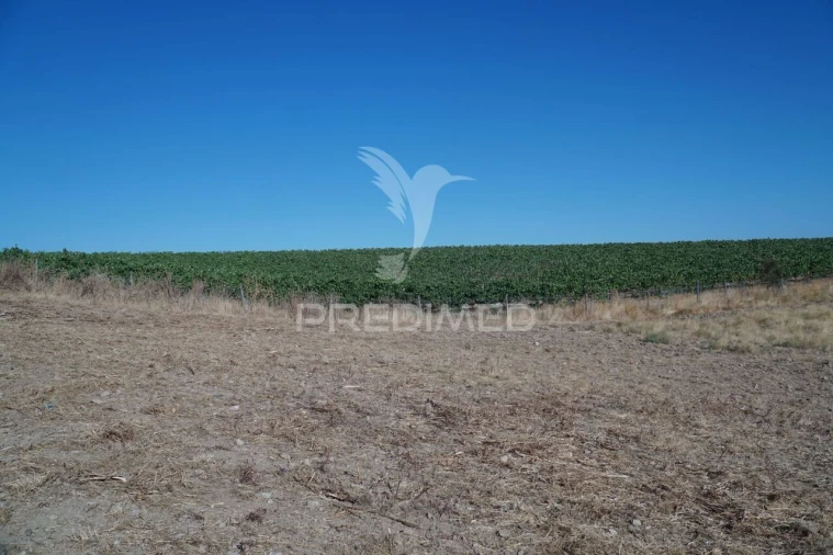 Quinta T0 para Venda em Santiago Maior Foto 26