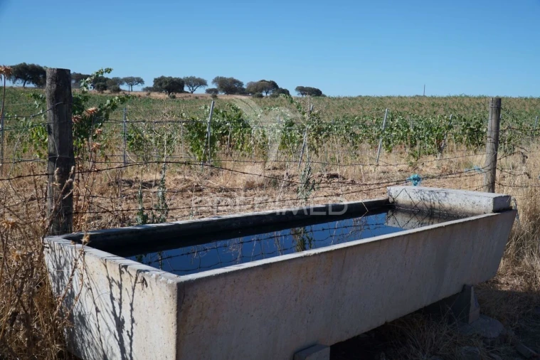 Quinta T0 para Venda em Santiago Maior Foto 39