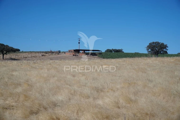 Quinta T0 para Venda em Santiago Maior Foto 23