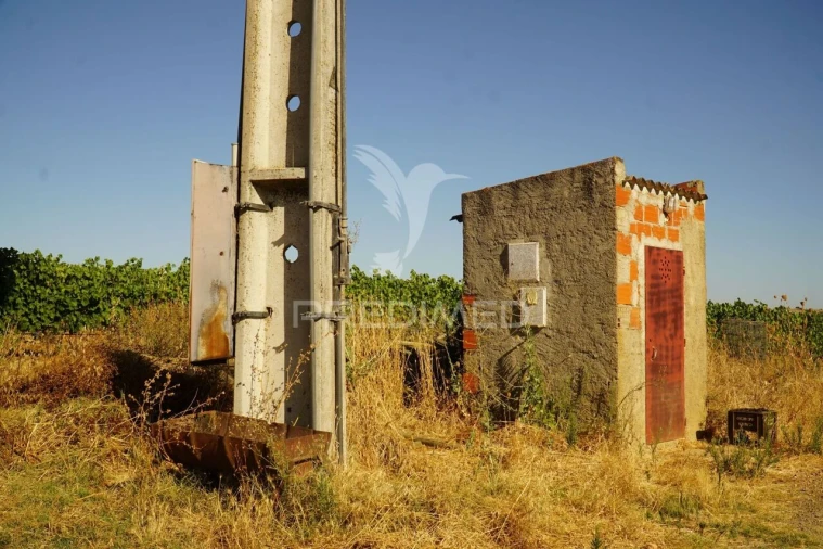 Quinta T0 para Venda em Santiago Maior Foto 38