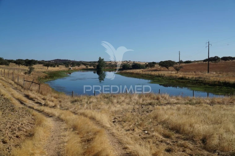 Quinta T0 para Venda em Santiago Maior Foto 2