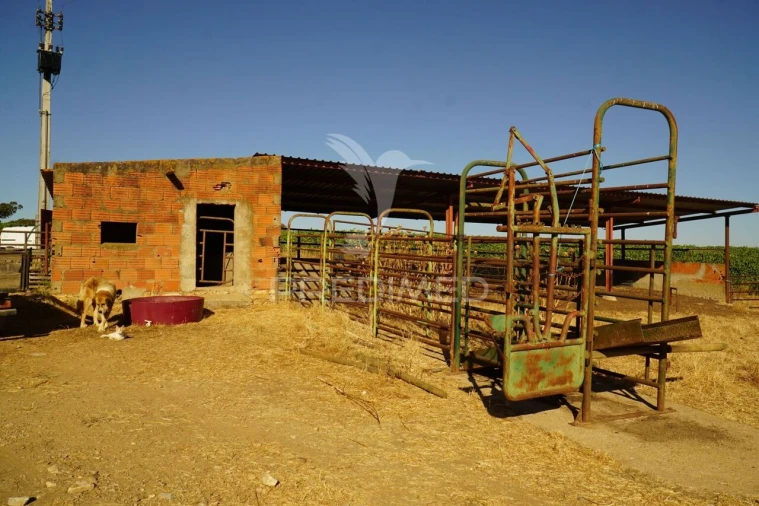 Quinta T0 para Venda em Santiago Maior Foto 35