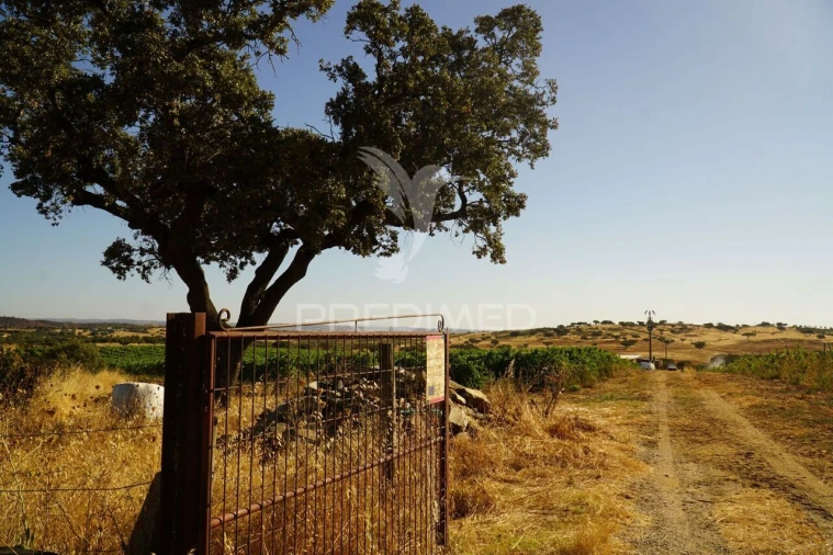 Quinta T0 para Venda em Santiago Maior Foto 3