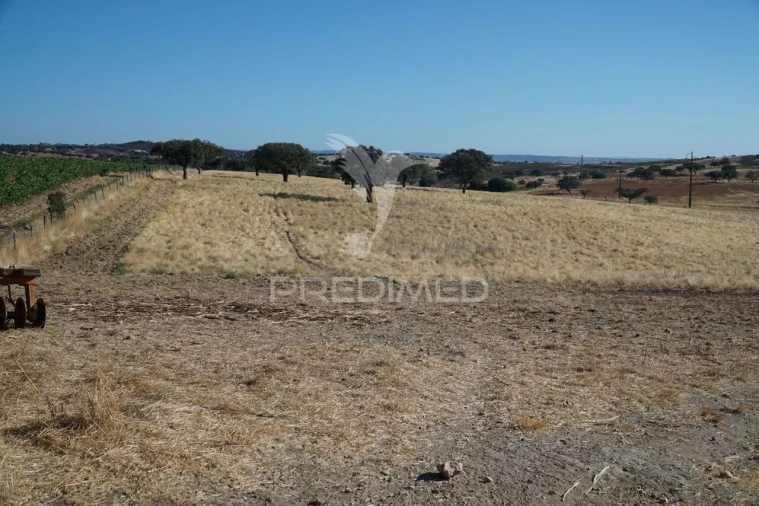 Quinta T0 para Venda em Santiago Maior Foto 22