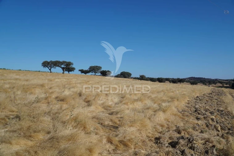 Quinta T0 para Venda em Santiago Maior Foto 31