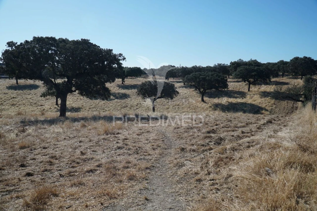 Quinta T0 para Venda em Santiago Maior Foto 21