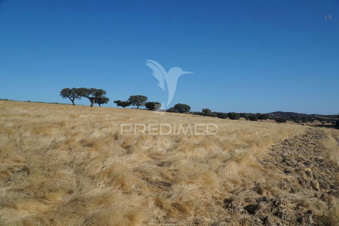 Quinta T0 para Venda em Santiago Maior Foto 31