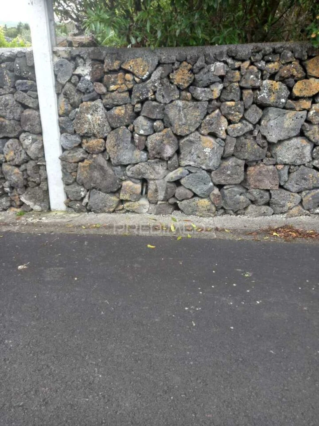 Terreno para Venda em Porto Martins Foto 8