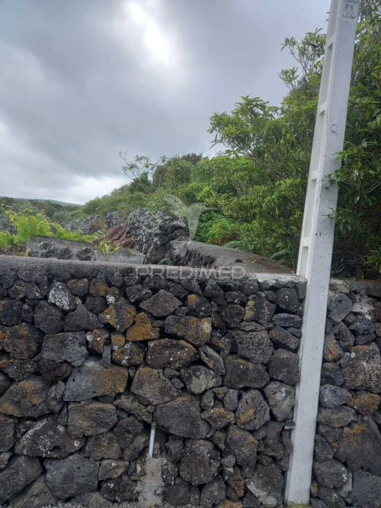 Terreno para Venda em Porto Martins Foto 10