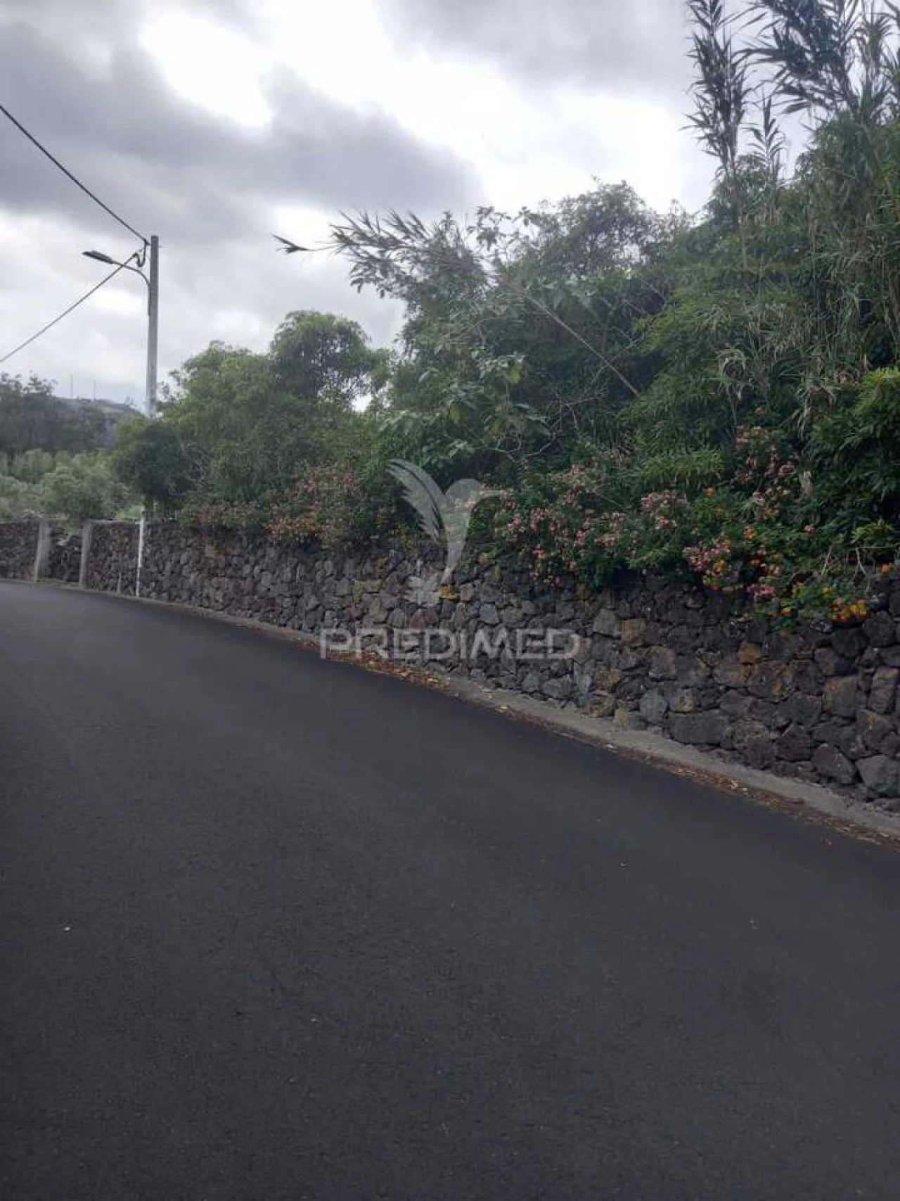 Terreno para Venda em Porto Martins Foto 7