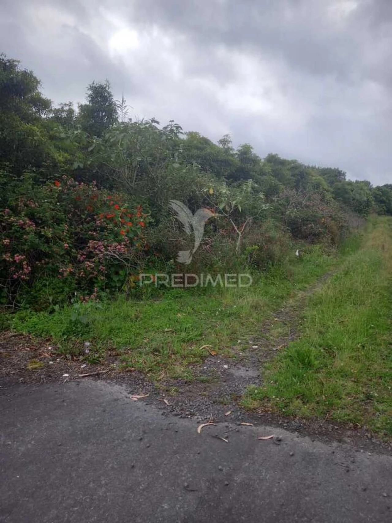 Terreno para Venda em Porto Martins Foto 6