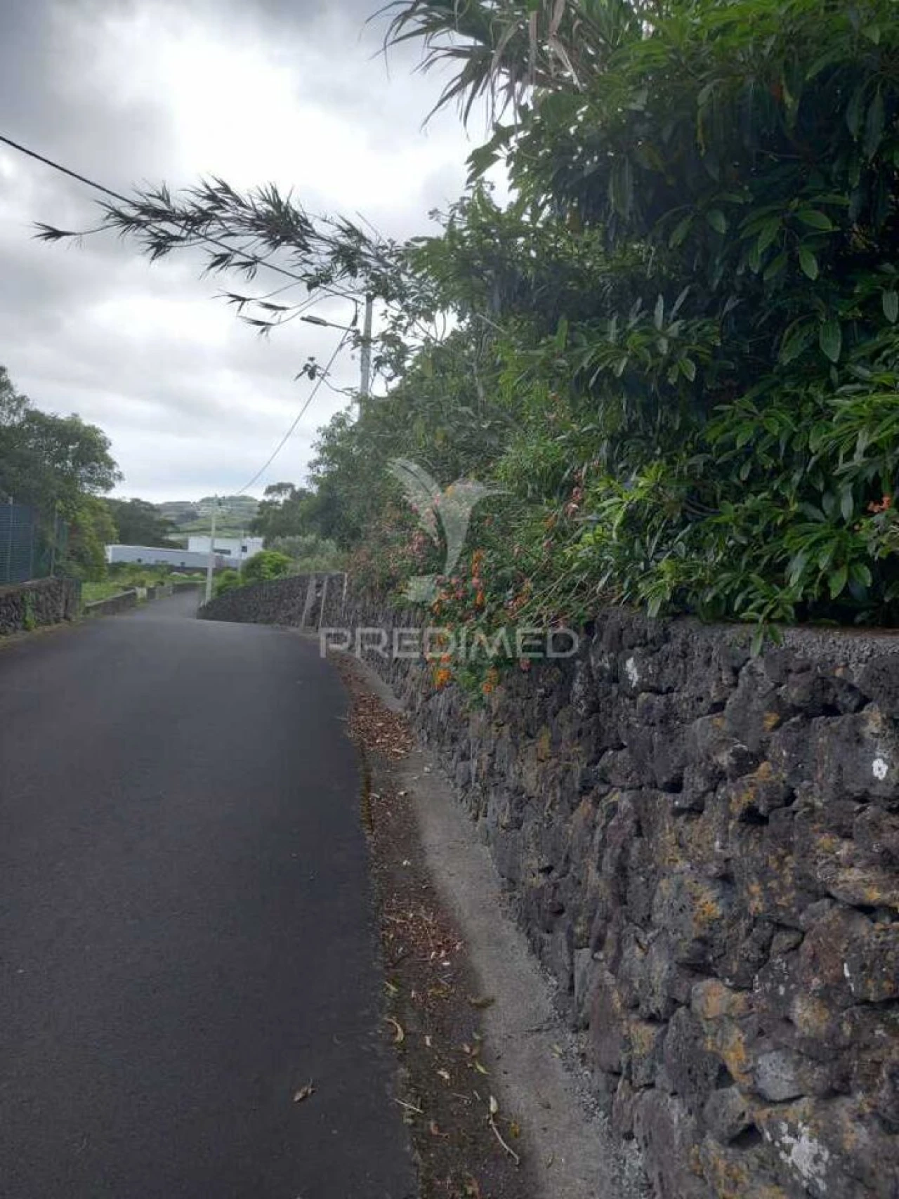 Terreno para Venda em Porto Martins Foto 1