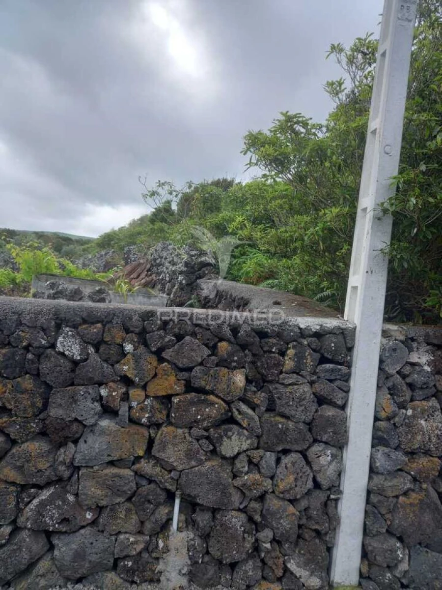 Terreno para Venda em Porto Martins Foto 10