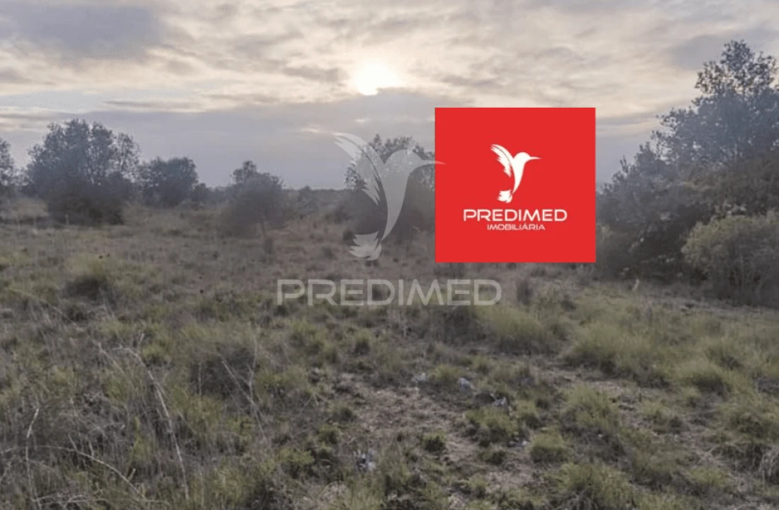 Terreno para Venda em Zibreira Foto 18