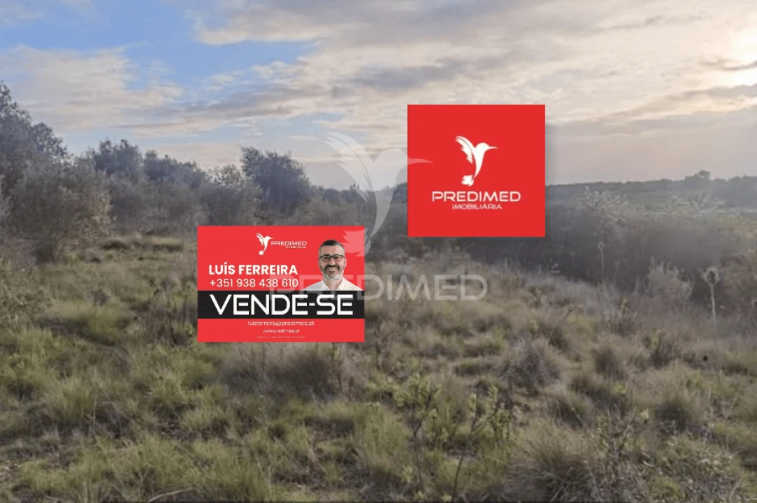 Terreno para Venda em Zibreira Foto 4