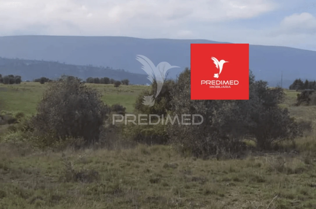 Terreno para Venda em Zibreira Foto 16