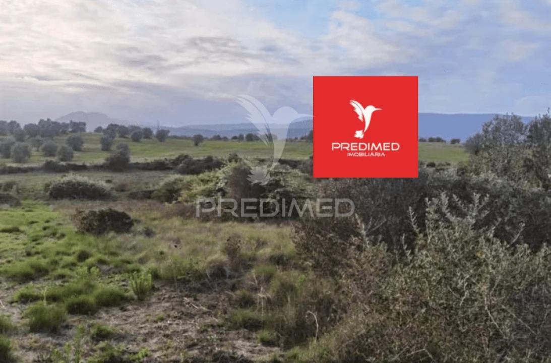 Terreno para Venda em Zibreira Foto 10