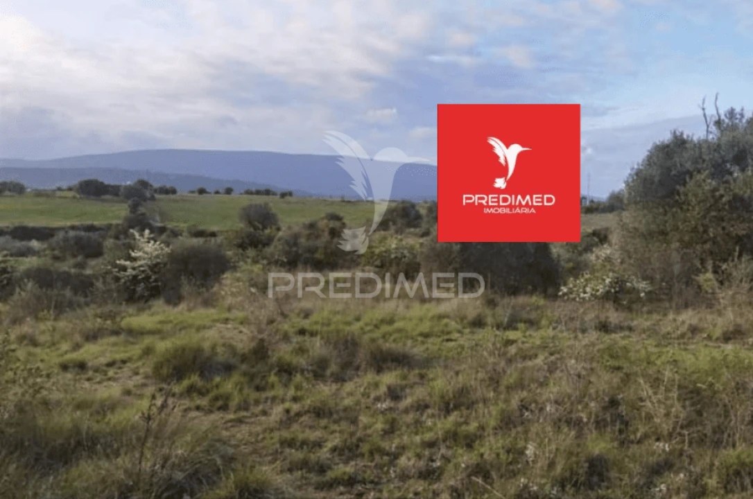 Terreno para Venda em Zibreira Foto 7