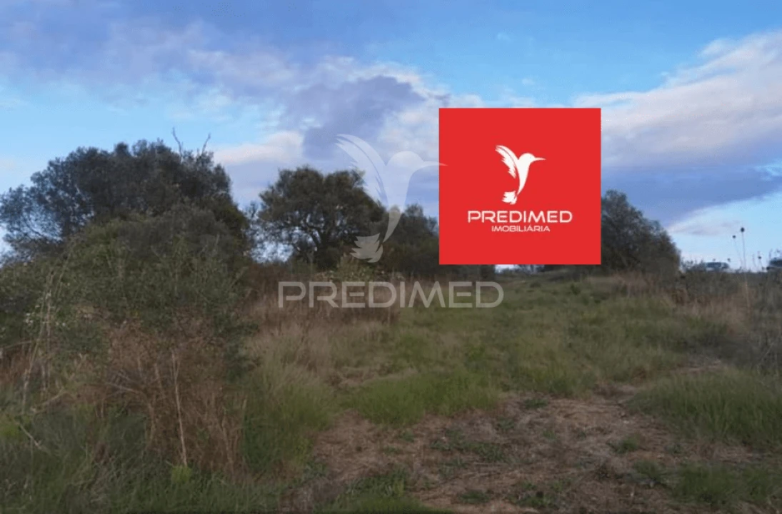 Terreno para Venda em Zibreira Foto 15