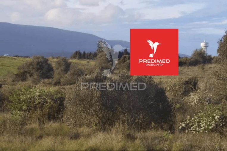 Terreno para Venda em Zibreira Foto 6