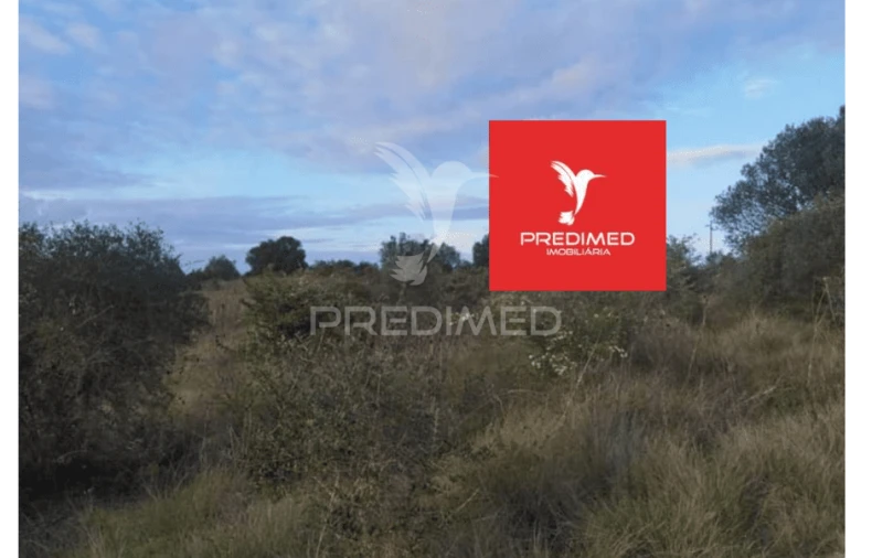 Terreno para Venda em Zibreira Foto 11