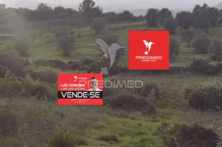 Terreno para Venda em Zibreira Foto 3