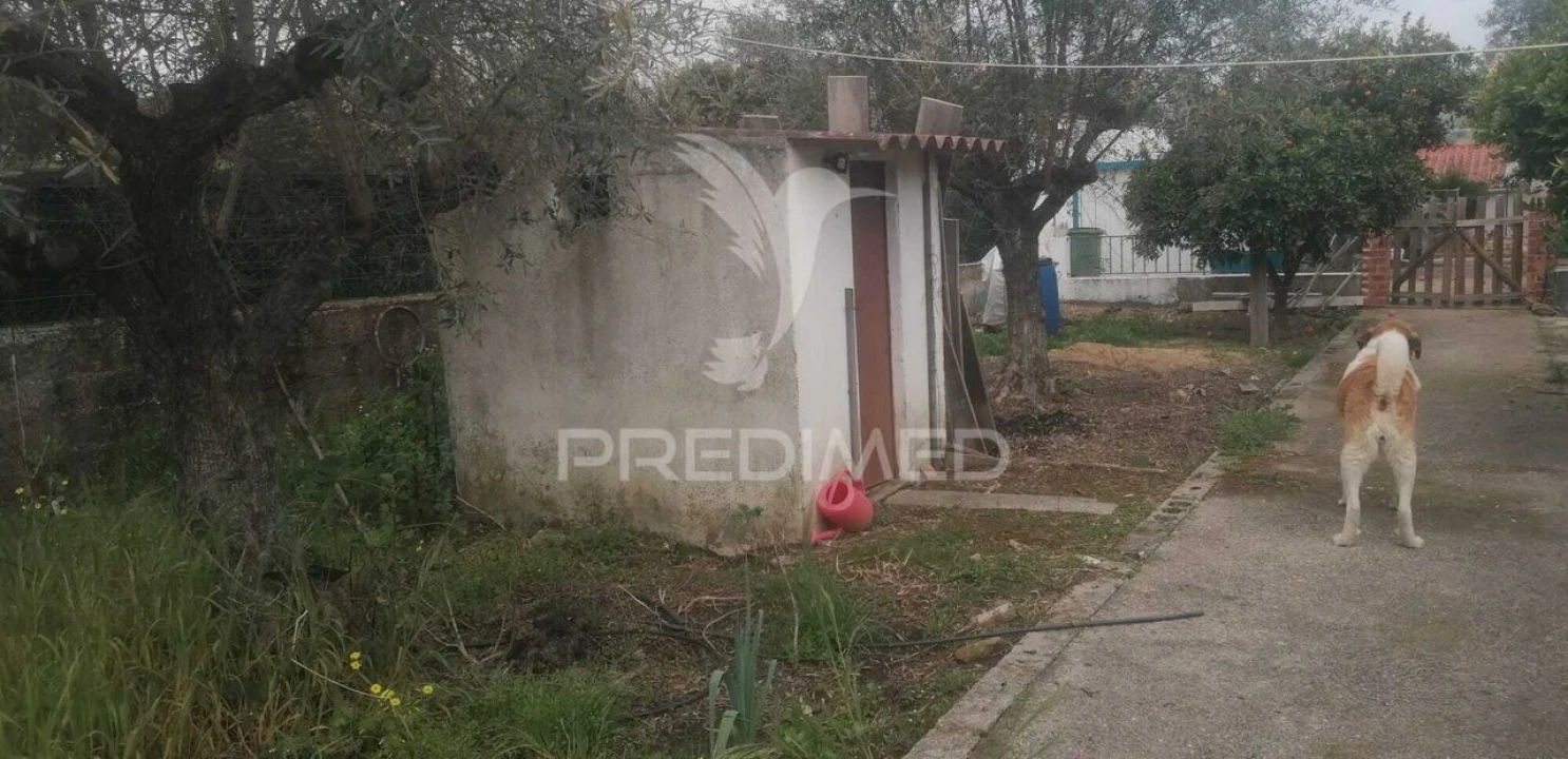 Quinta T3 para Venda em Urra Foto 21