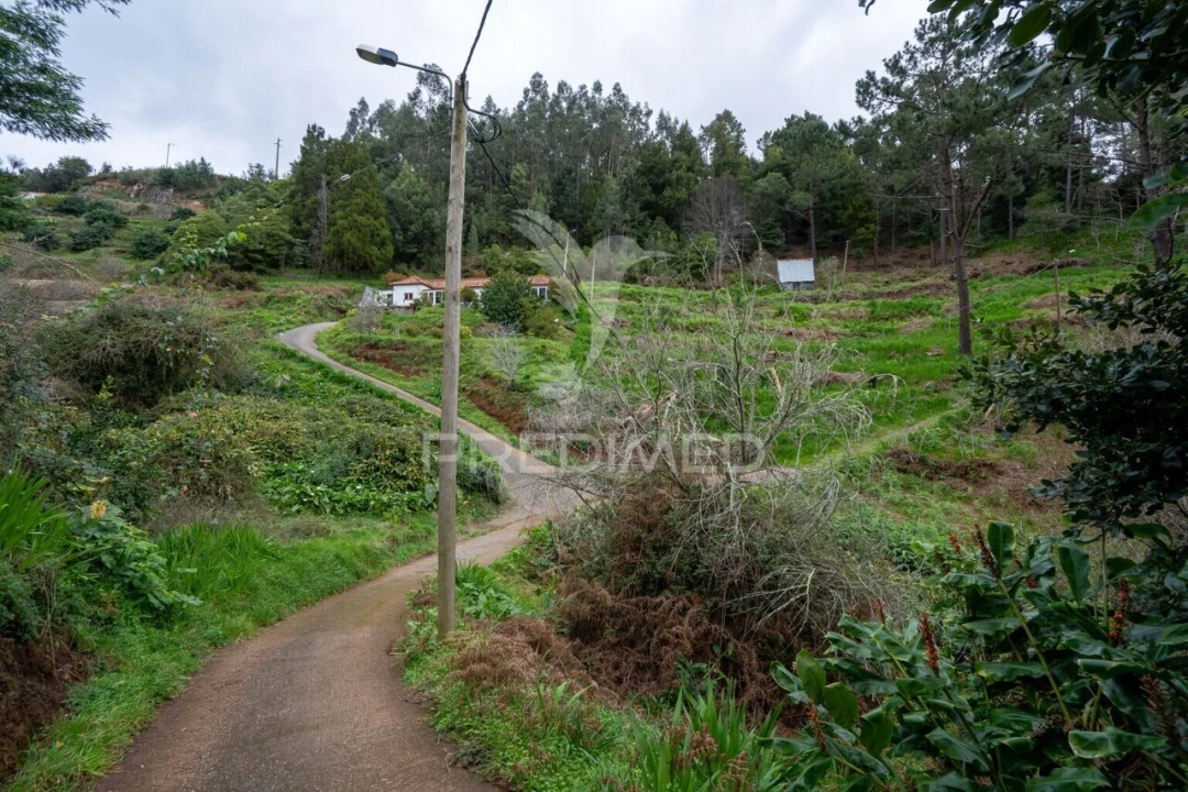 Terreno para Venda em Santo Antonio da Serra Foto 17