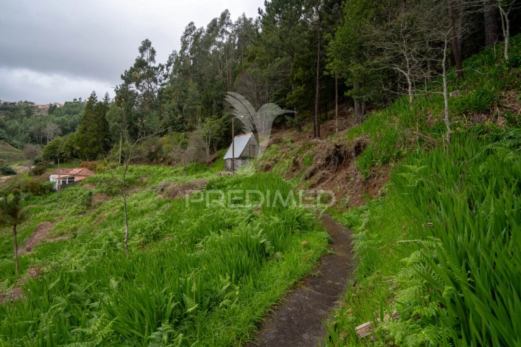 Terreno para Venda em Santo Antonio da Serra Foto 14