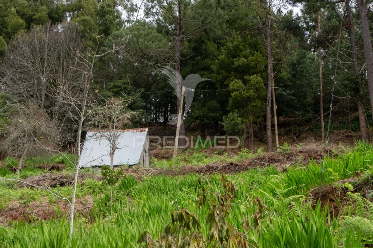 Terreno para Venda em Santo Antonio da Serra Foto 21