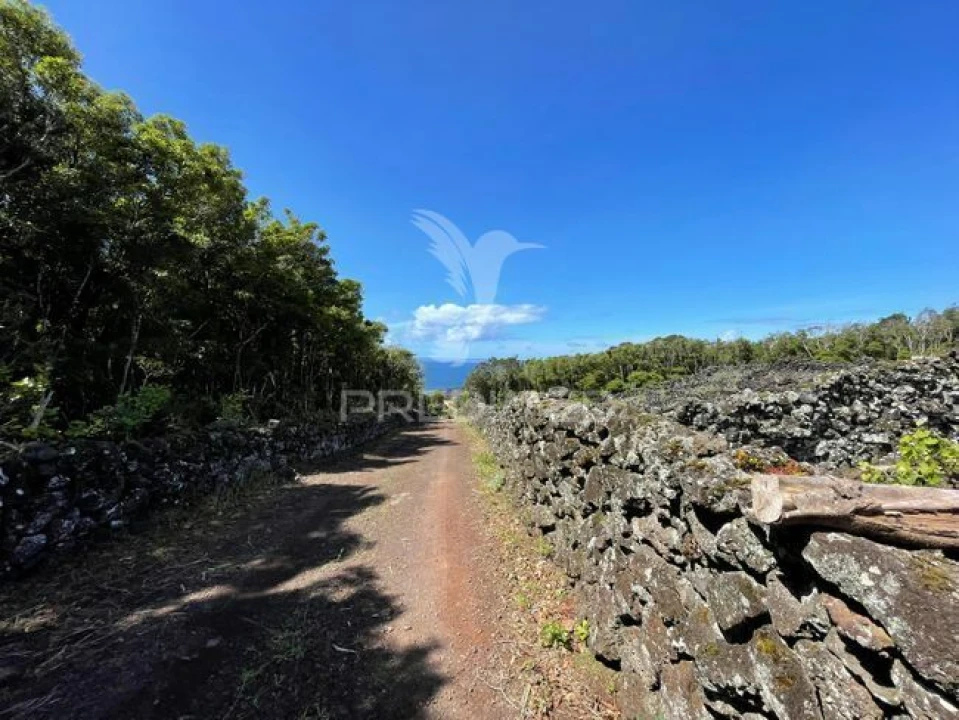 Terreno para Venda em Candelaria Foto 7