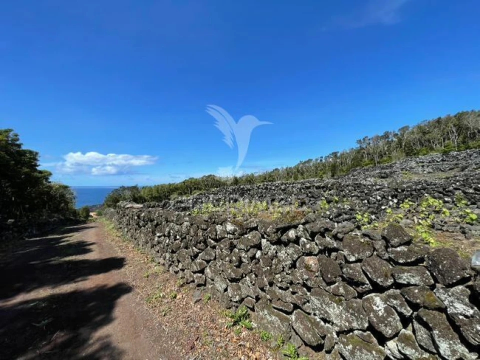 Terreno para Venda em Candelaria Foto 9