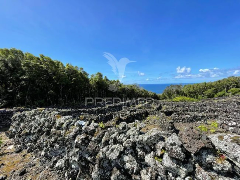 Terreno para Venda em Candelaria Foto 13