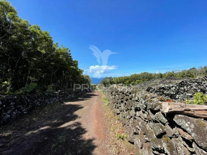 Terreno para Venda em Candelaria Foto 7