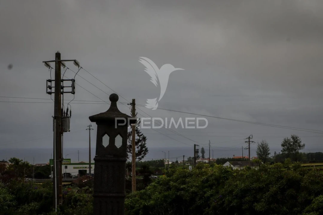 Quinta T9 para Venda em Ribeira Seca Foto 30