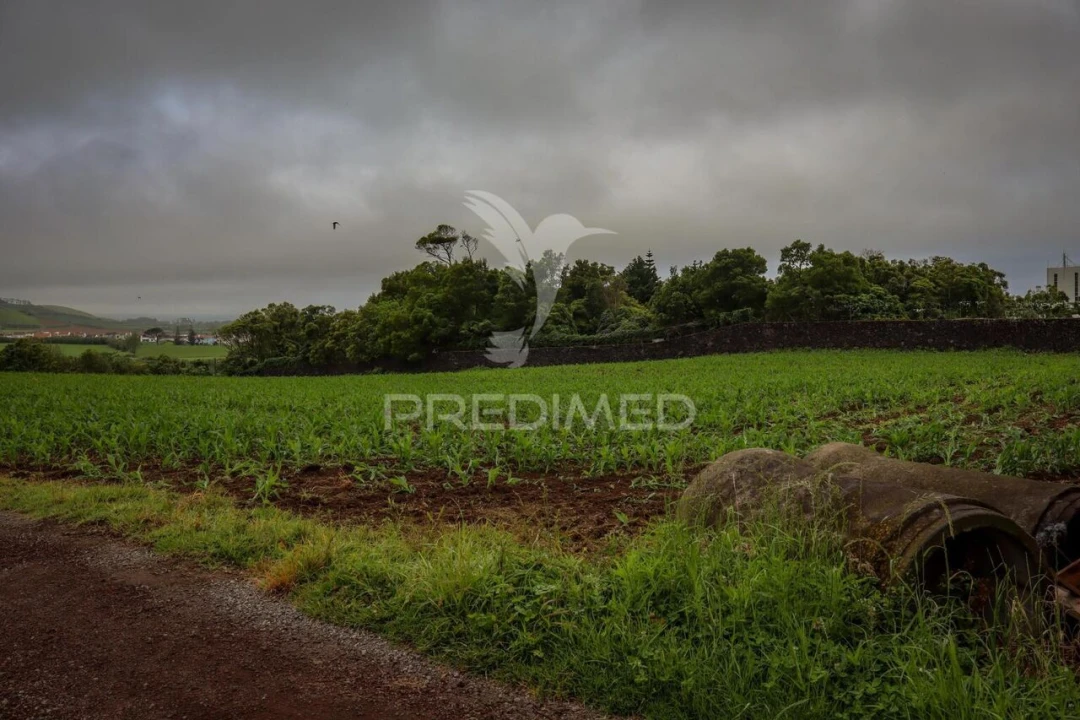 Quinta T9 para Venda em Ribeira Seca Foto 29