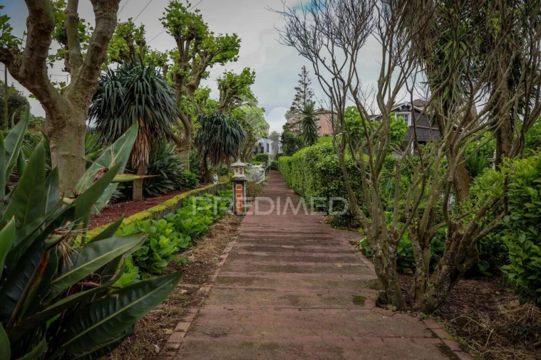 Quinta T9 para Venda em Ribeira Seca Foto 8