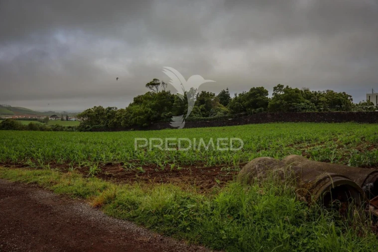 Quinta T9 para Venda em Ribeira Seca Foto 29