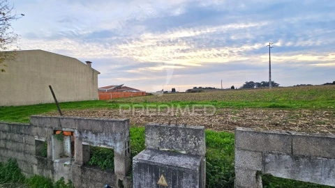 Terreno para Venda em Oliveirinha