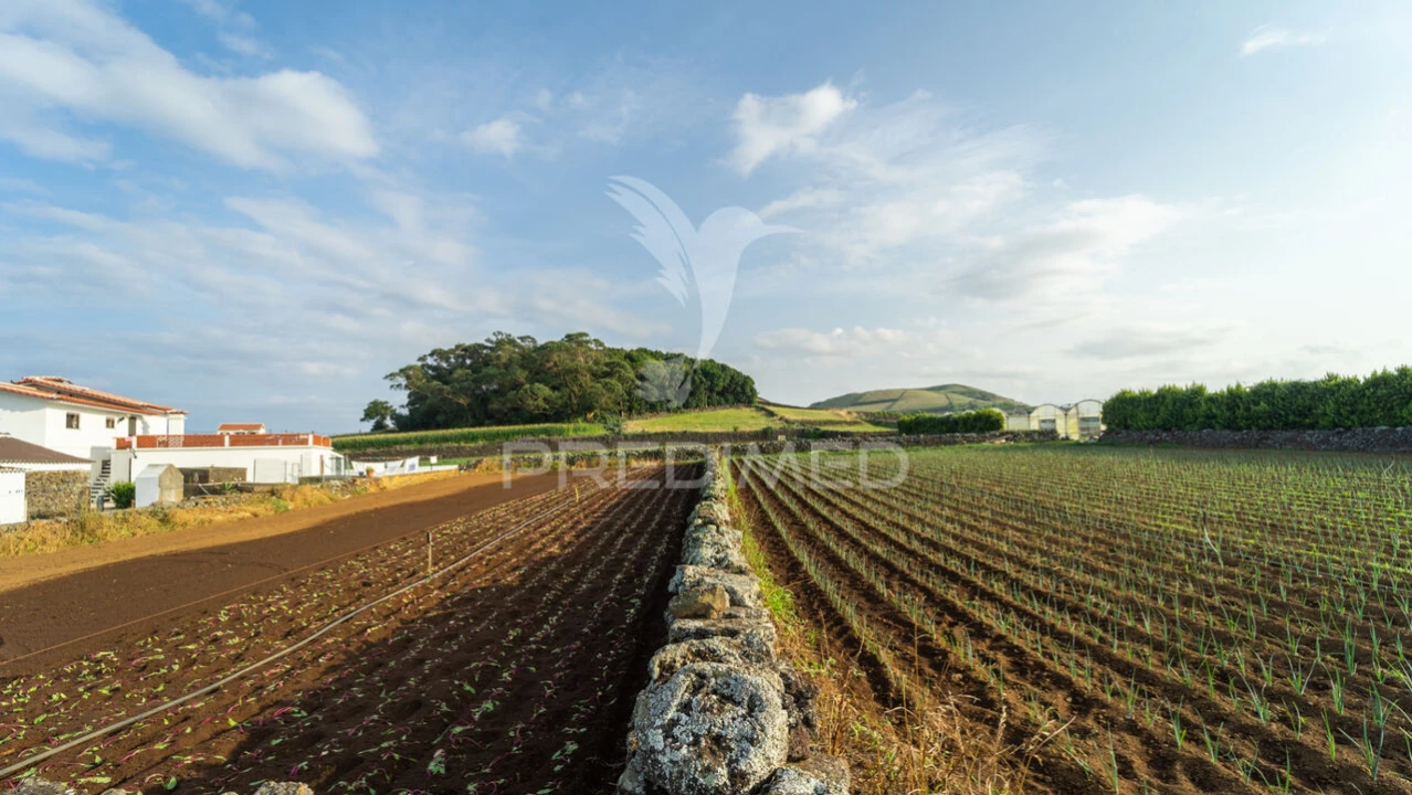 Moradia T5 para Venda em Cabo da Praia Foto 33