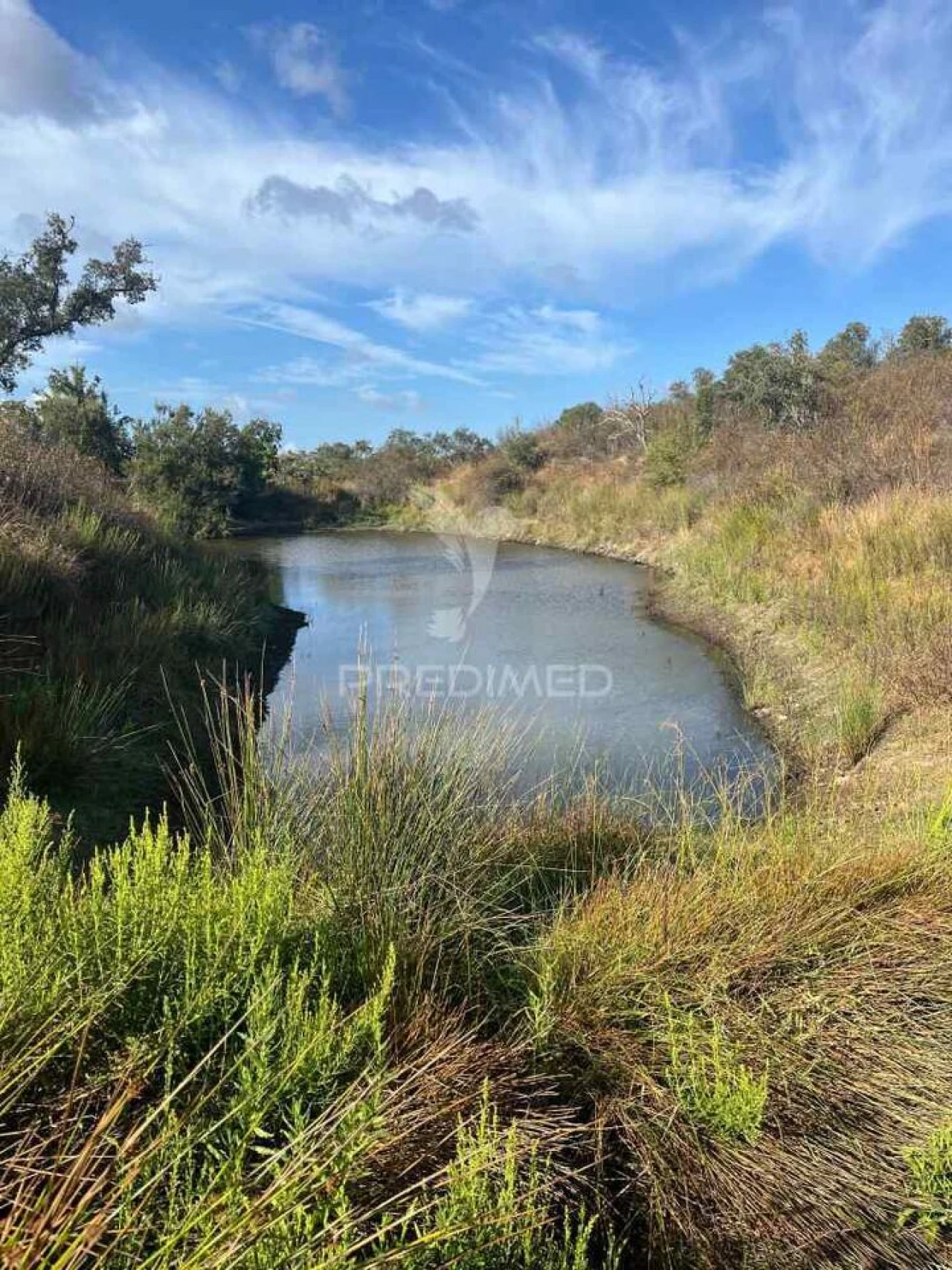 Quinta T3 para Venda em Ourique Foto 33