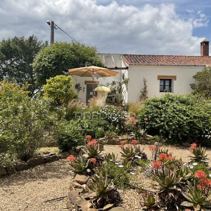 Quinta T3 para Venda em Ourique Foto 3