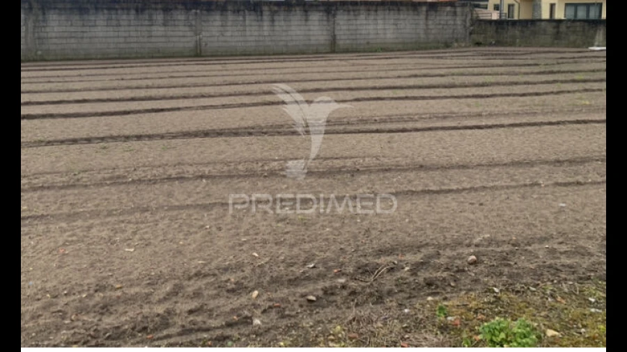 Terreno para Venda em Estela