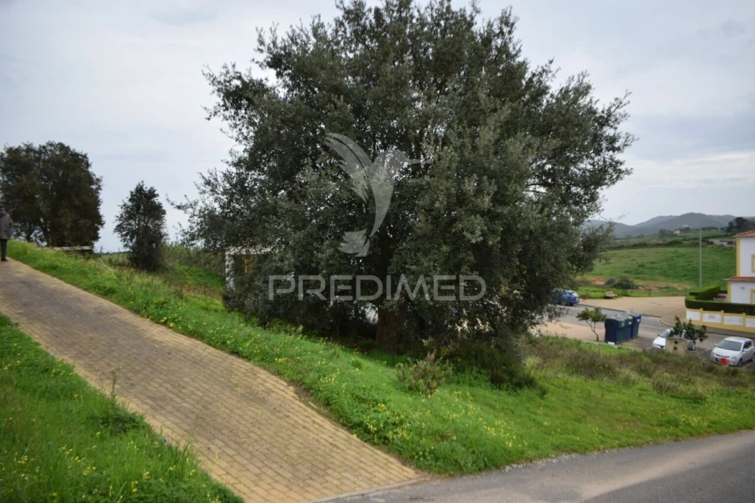 Terreno para Venda em Cercal Foto 5