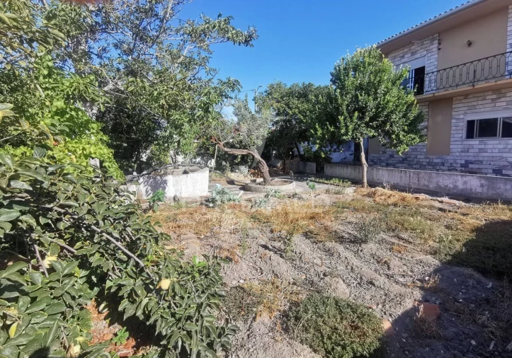 Moradia T7 para Venda em Golegã Foto 6