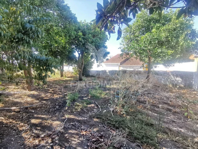 Moradia T7 para Venda em Golegã Foto 9