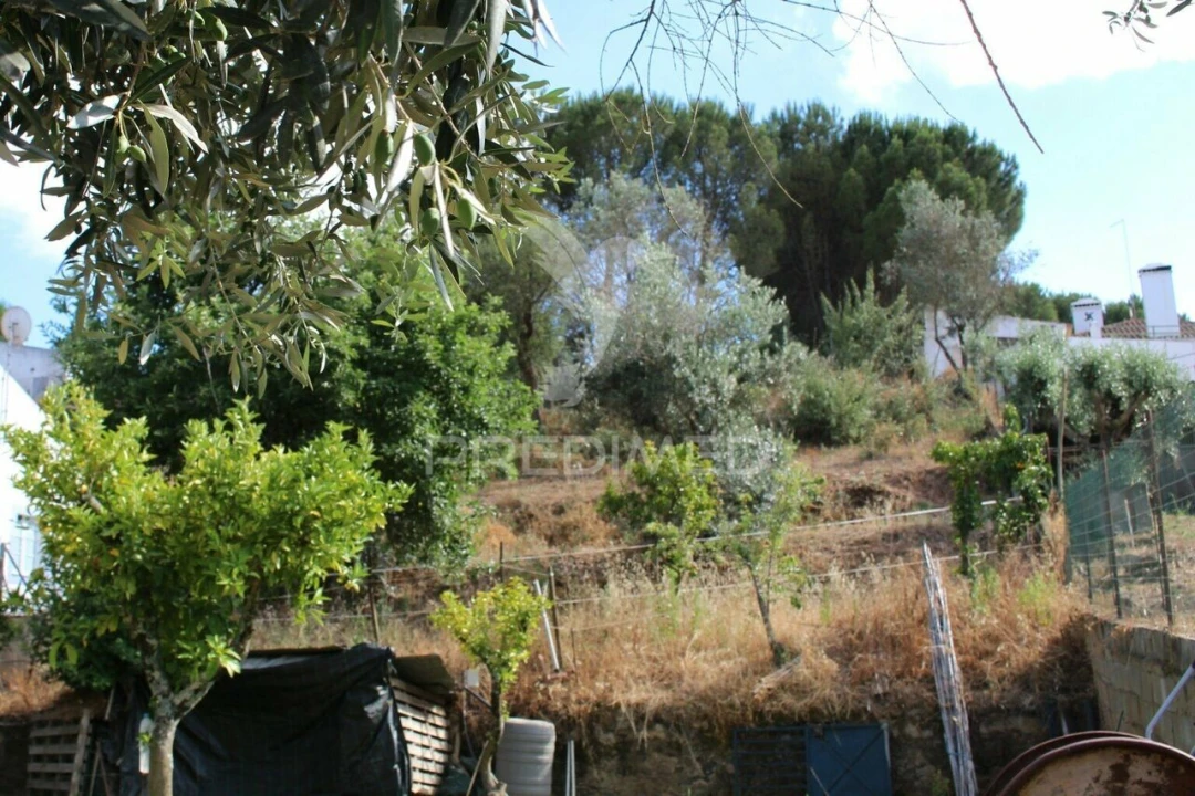 Terreno para Venda em Redondo Foto 8