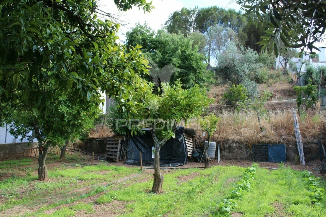 Terreno para Venda em Redondo Foto 2