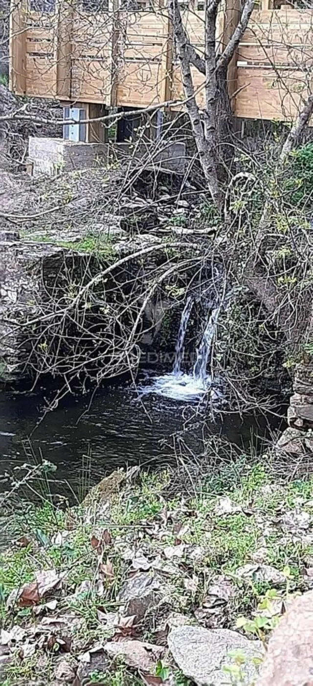 Terreno para Venda em Redondo Foto 25