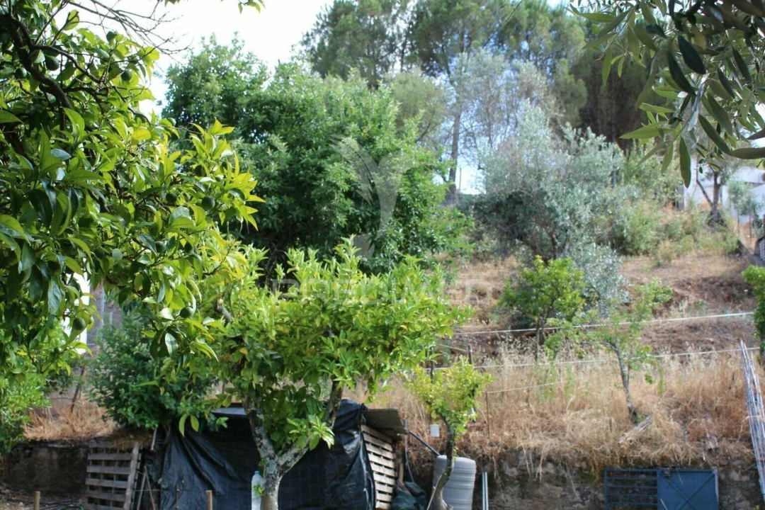 Terreno para Venda em Redondo Foto 6